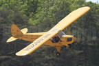 Flying Farmer