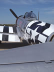 North American P-47D Thunderbolt Jacky's Revenge