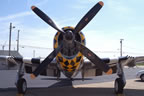 North American P-47D Thunderbolt Jacky's Revenge