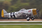 North American P-47D Thunderbolt Jacky's Revenge