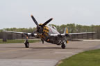 North American P-47D Thunderbolt Jacky's Revenge
