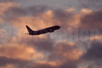 Boeing 737-832 N 