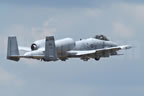 Fairchild A-10 Thunderbolt II - Wart Hog 219