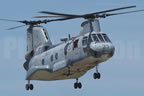 Boeing CH-46 Sea Knight 151955
